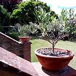 Apartment Leonaerdo Guests House - Lt Locazione Turistica *