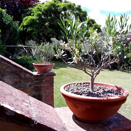 شقة Leonaerdo Guests House - Lt Locazione Turistica *