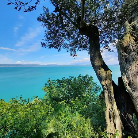 Apartamento Leonaerdo Guests House