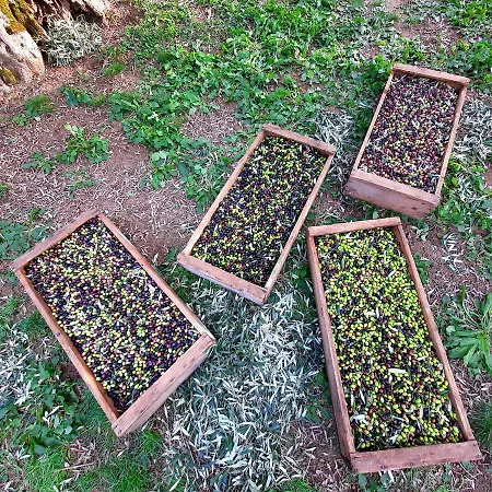 Leonaerdo Guests House - Lt Locazione Turistica Apartamento